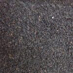 kalonji_[1]